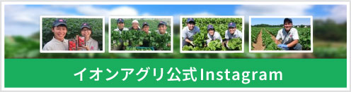 インスタグラム