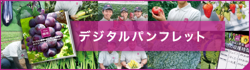 デジタルパンフレット