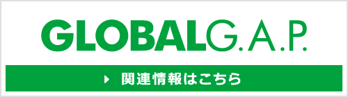 関連情報はこちら